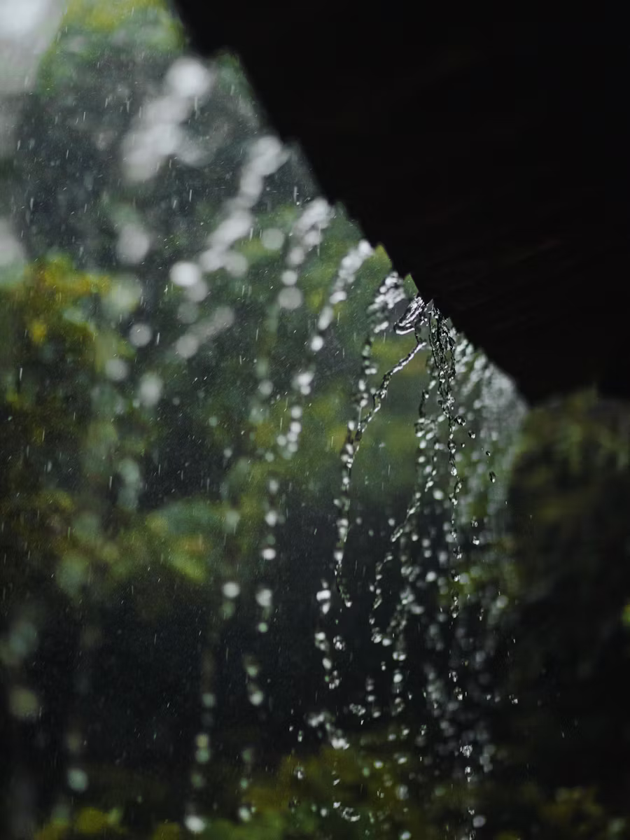 8. My Ideal Korea Rainy Season Survival Routine