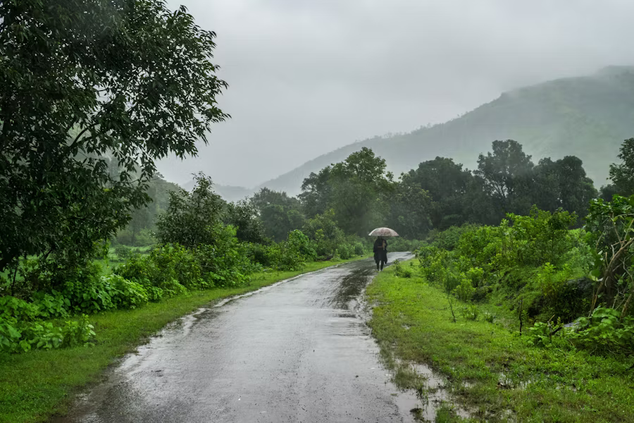 1. What Is Korea’s Rainy Season?
