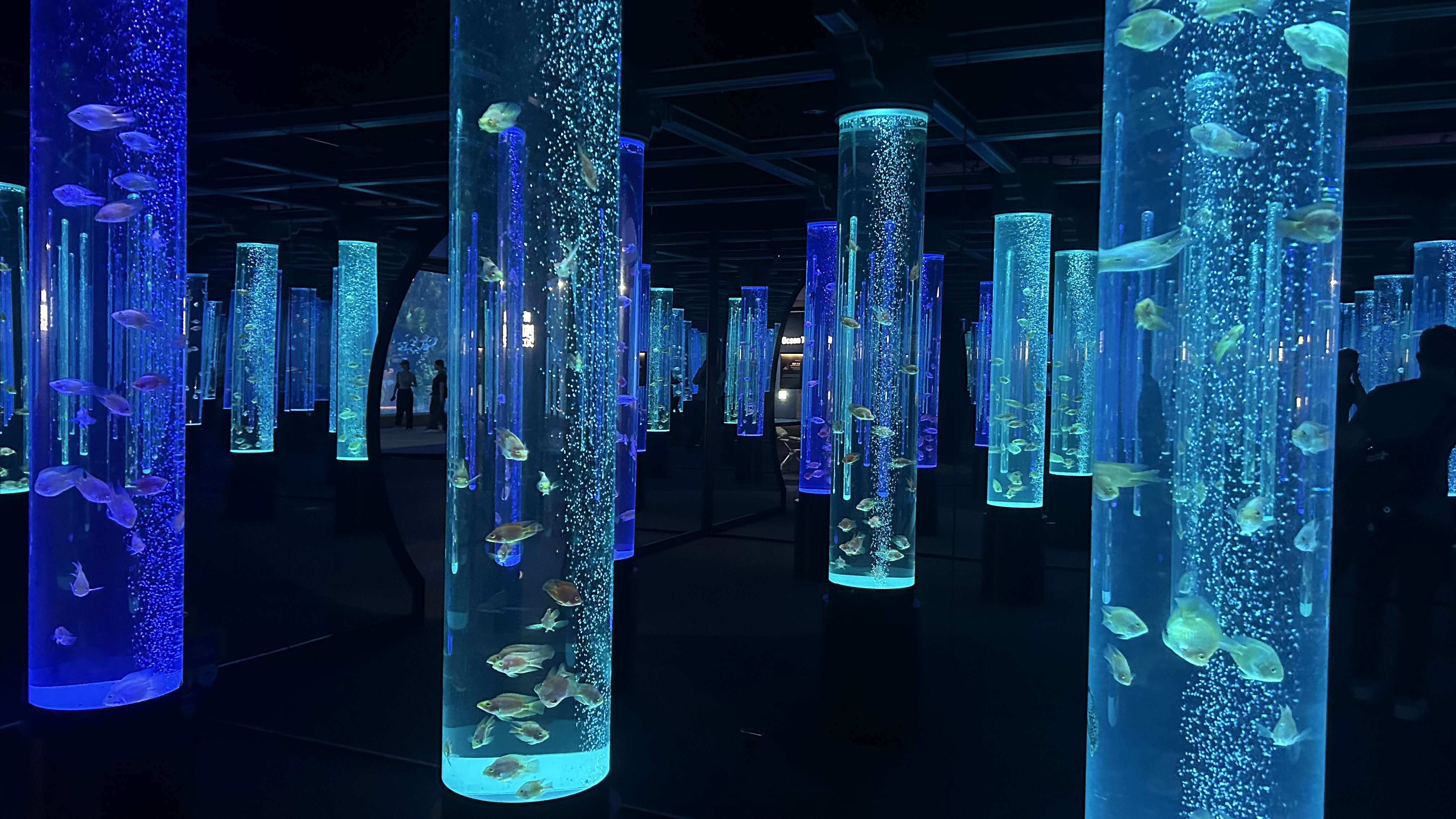 Lotte World Aquarium Seoul: Why I Recommend Going After 5 PM