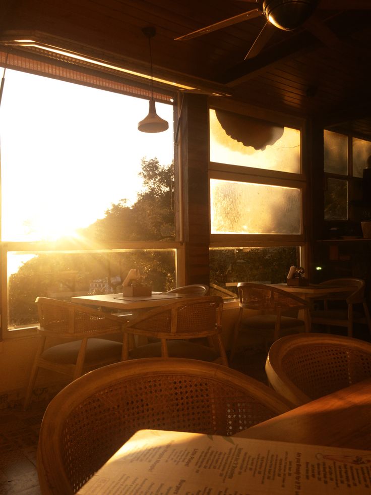 2. I Always Look for Soft Natural Light photo 1