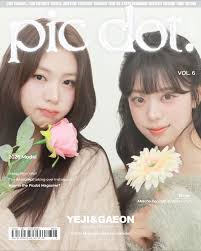 5. Picdot photo 1