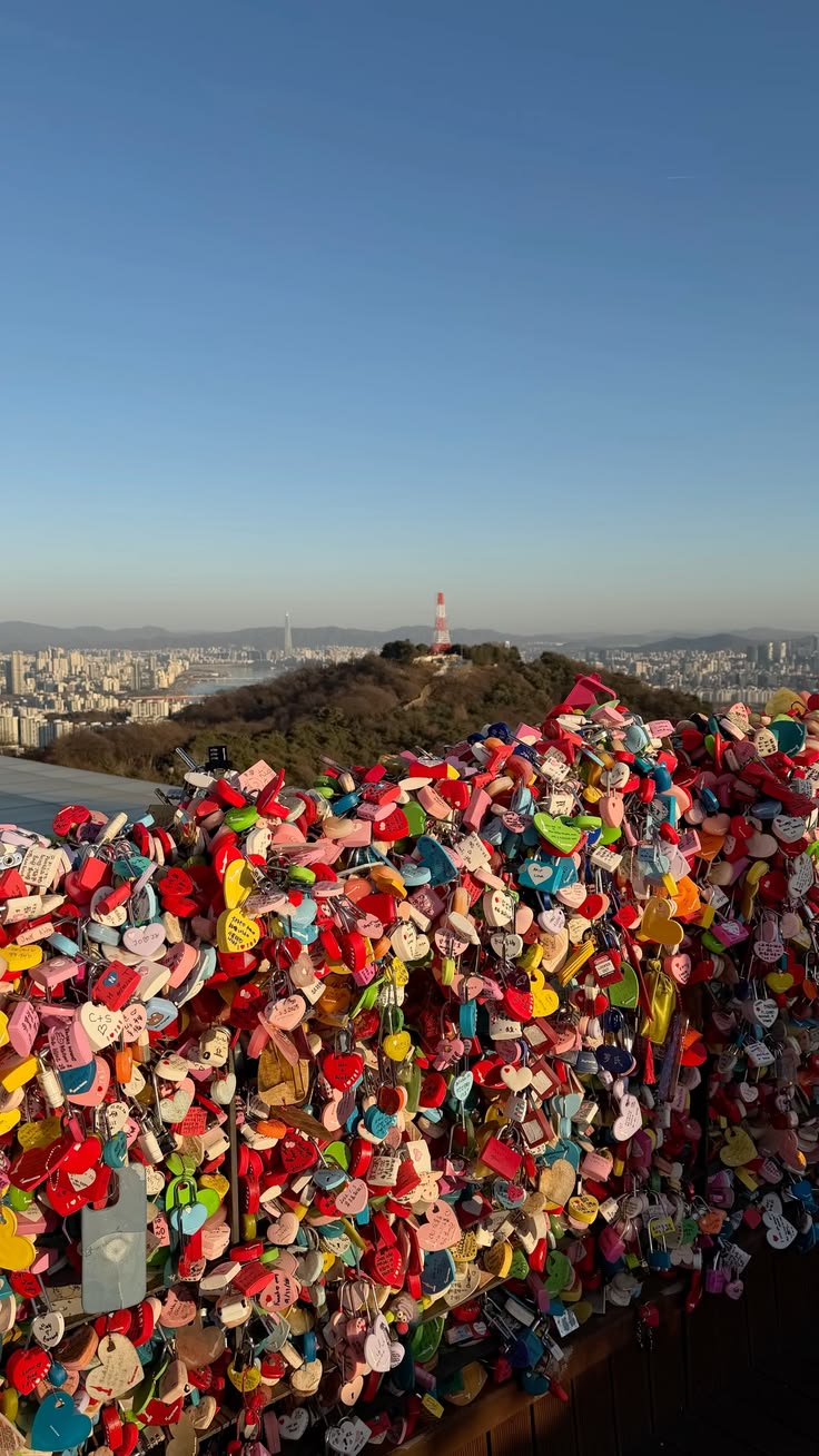 5. See the Seoul City Skyline photo 2